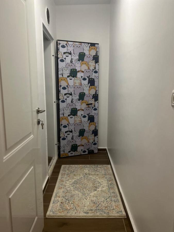 Lana'S Guest House Hurfeish 외부 사진